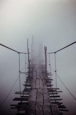 8b94243d0eb30fc4b988c6545337f196