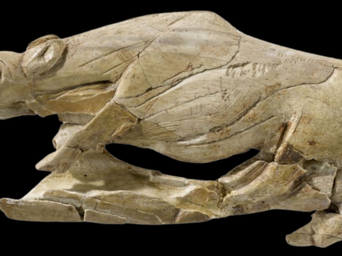 Le origini dell’Arte: quando tutto ebbe inizio