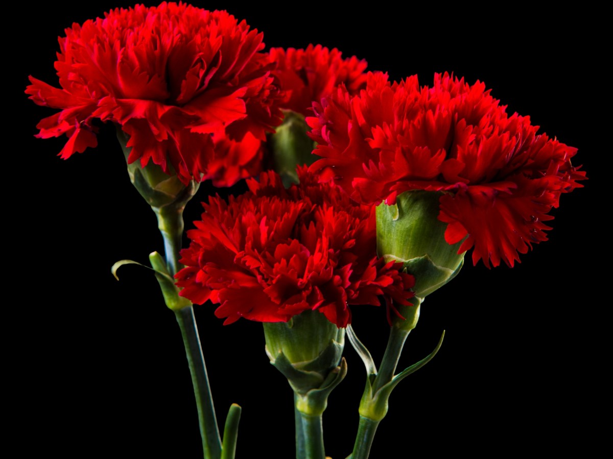 Ho tenuto la sua mano mentre entravamo in chiesa