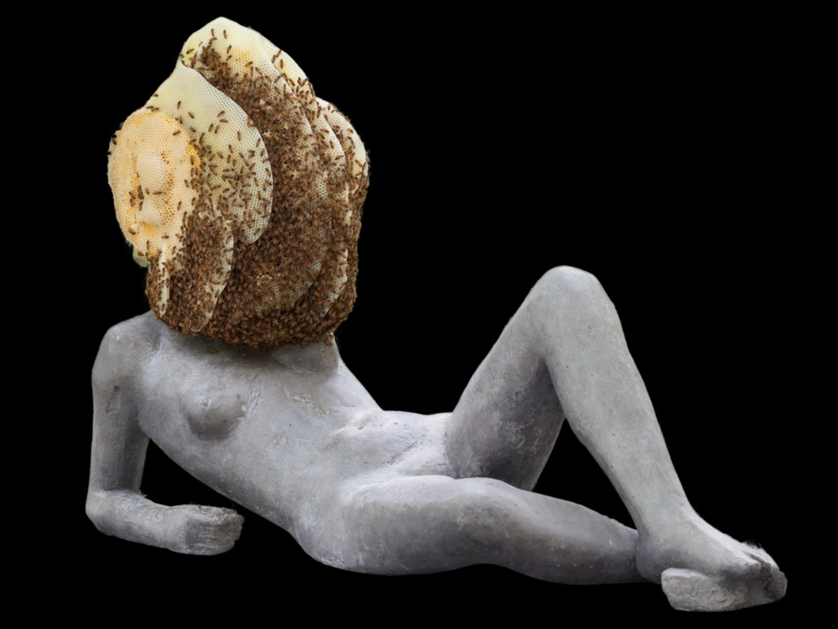 Passione teatro: Ho paura torero