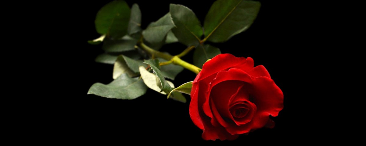 Il Femminicidio nella Storia: ISOLINA